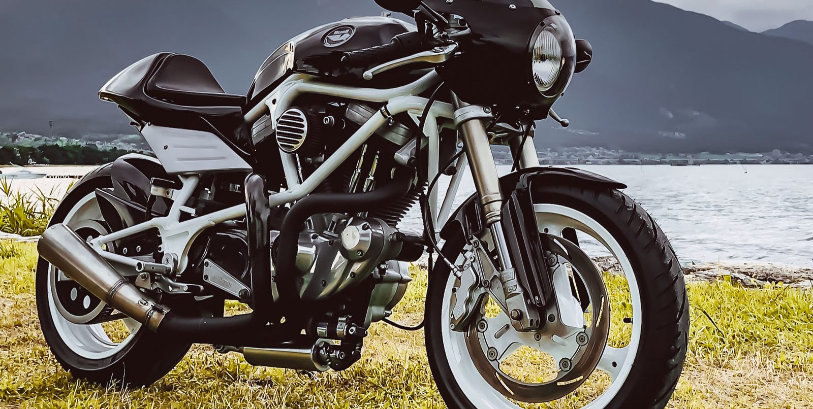 Berrybads custom Buell