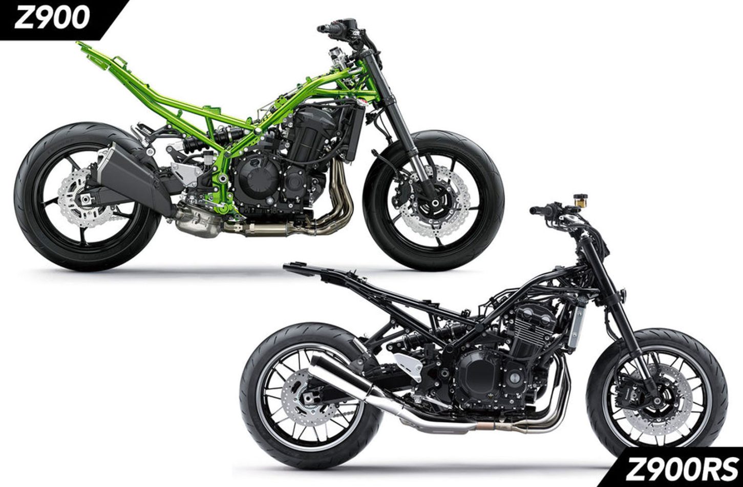 Evolution or Devolution?: Kawasaki Z900RS VS Kawasaki Z900 - Return of ...